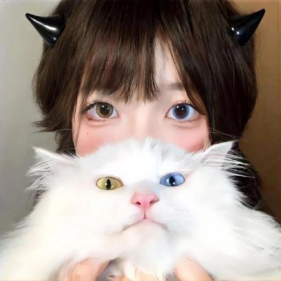 小家伙